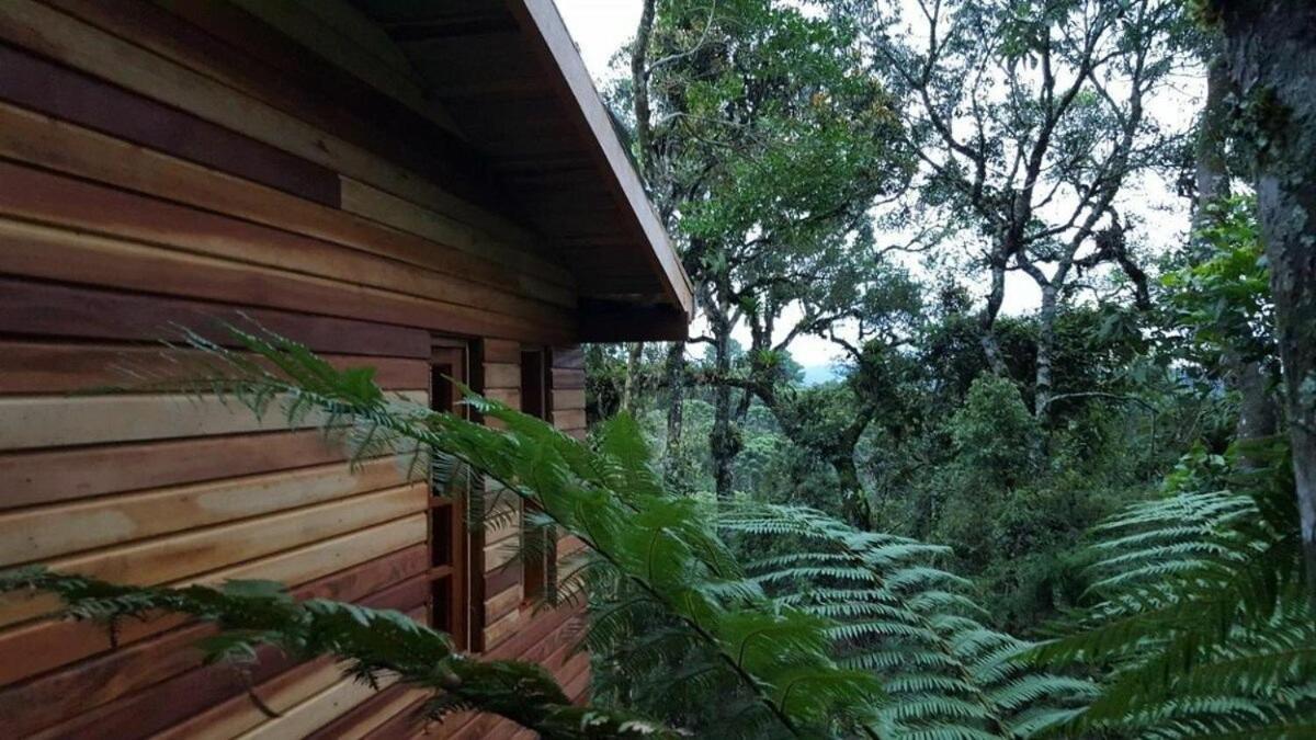Chale Dos Tucanos- De Vidro Com Linda Vista Campos do Jordão